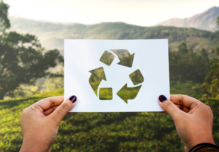 Budapesti Corvinus Egyetem